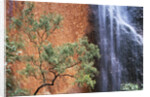 Ayers Rock Waterfall by Anonymous