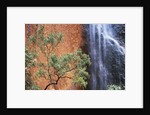 Ayers Rock Waterfall by Anonymous
