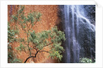 Ayers Rock Waterfall by Anonymous