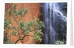 Ayers Rock Waterfall by Anonymous