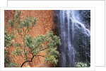 Ayers Rock Waterfall by Anonymous