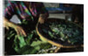 Baskets of Silkworms by Anonymous