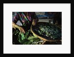 Baskets of Silkworms by Anonymous