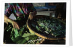 Baskets of Silkworms by Anonymous