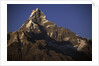 Sun Setting on Machhapuchare by Anonymous