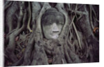 Buddha Sculpture Engulfed by Tree Roots by Anonymous