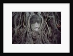 Buddha Sculpture Engulfed by Tree Roots by Anonymous