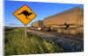 Semi Truck Speeding by Kangaroo Crossing Sign by Anonymous