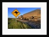 Semi Truck Speeding by Kangaroo Crossing Sign by Anonymous