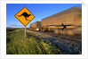 Semi Truck Speeding by Kangaroo Crossing Sign by Anonymous