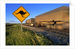 Semi Truck Speeding by Kangaroo Crossing Sign by Anonymous