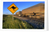 Semi Truck Speeding by Kangaroo Crossing Sign by Anonymous