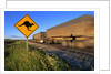Semi Truck Speeding by Kangaroo Crossing Sign by Anonymous