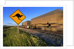Semi Truck Speeding by Kangaroo Crossing Sign by Anonymous