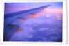 Setting Sun Hitting Airplane Wing by Anonymous