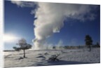 Old Faithful Geyser Erupting in Winter by Anonymous