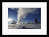 Old Faithful Geyser Erupting in Winter by Anonymous