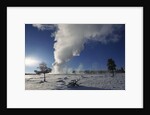 Old Faithful Geyser Erupting in Winter by Anonymous