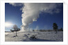 Old Faithful Geyser Erupting in Winter by Anonymous