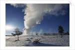 Old Faithful Geyser Erupting in Winter by Anonymous