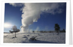 Old Faithful Geyser Erupting in Winter by Anonymous