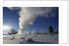 Old Faithful Geyser Erupting in Winter by Anonymous