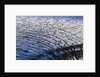 Cracked Surface of Glacier by Anonymous