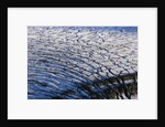 Cracked Surface of Glacier by Anonymous