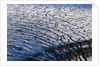 Cracked Surface of Glacier by Anonymous