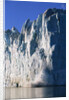 Ice Block Breaking off of Glacier by Anonymous