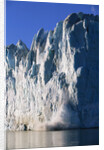 Ice Block Breaking off of Glacier by Anonymous