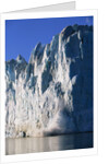 Ice Block Breaking off of Glacier by Anonymous