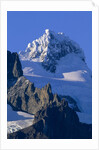 Cerro Paine Grande Summit by Anonymous