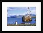 Gentoo Penguin Calling near Abandoned Whaling Ship by Anonymous
