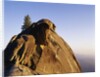 Top of Moro Rock by Anonymous