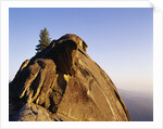 Top of Moro Rock by Anonymous