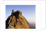 Top of Moro Rock by Anonymous