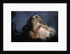 Attacking Saltwater Crocodile by Anonymous