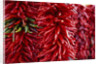 Chili Peppers by Anonymous