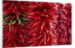 Chili Peppers by Anonymous