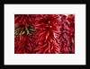 Chili Peppers by Anonymous