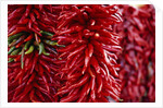 Chili Peppers by Anonymous