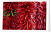 Chili Peppers by Anonymous