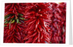 Chili Peppers by Anonymous