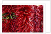 Chili Peppers by Anonymous