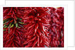 Chili Peppers by Anonymous