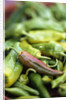 Chili Peppers at Market by Anonymous