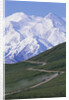 Road in Thorofare Pass Below Mt. McKinley by Anonymous