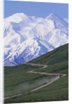 Road in Thorofare Pass Below Mt. McKinley by Anonymous
