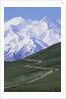 Road in Thorofare Pass Below Mt. McKinley by Anonymous